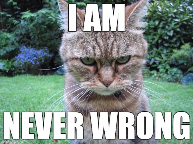 An angry-looking housecat, with the phrase "I am never wrong"