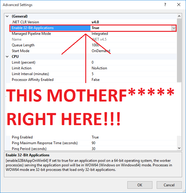 A screenshot of an app pool's settings dialog in IIS, with "Enable 32-bit Applications" encircled and an arrow pointing to it, saying "This expletive right here!"