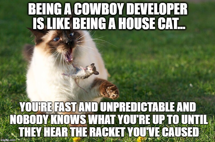 Being a cowboy developer is like being a house cat: you're fast and unpredictable and nobody knows what you're up to until they hear the racket you've caused.