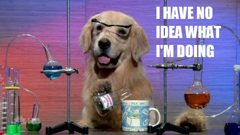 A dog in a chemist's outfit with a chemistry set, with the caption "I have no idea what I'm doing."