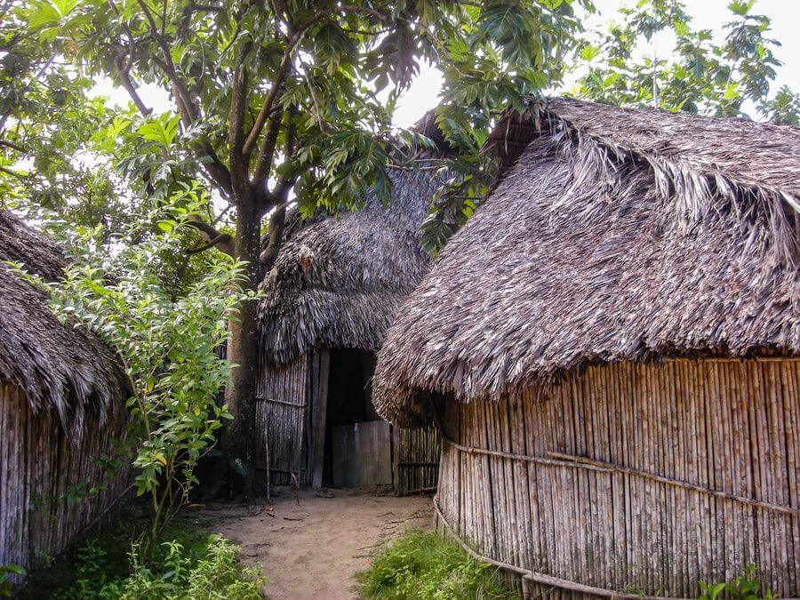 A set of straw huts clustered together in a jungle.